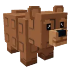 Bear pet thumbnail