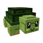 Turtle pet thumbnail